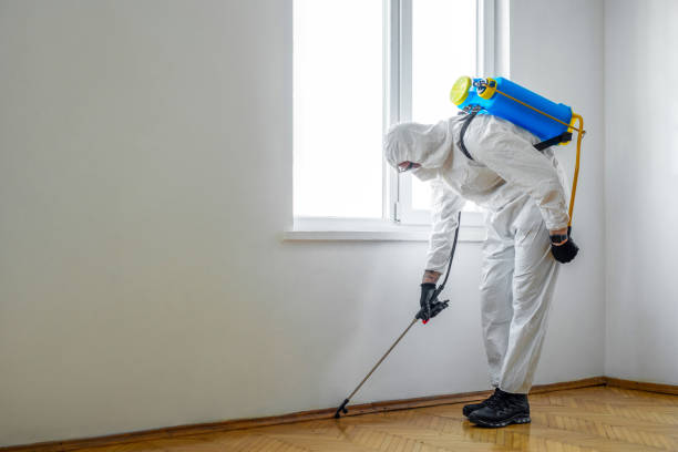 Best Emergency Pest Control  in Mount Gilead, NC